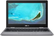 ASUS Chromebook C223NA