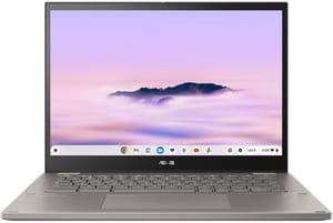 ASUS Chromebook Plus CM34 Flip (CM3401)