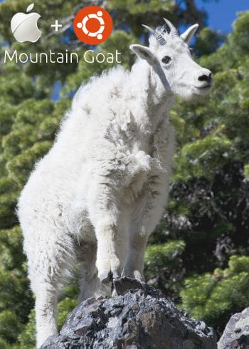Mountain Goat Ubuntu on Apple Hardware